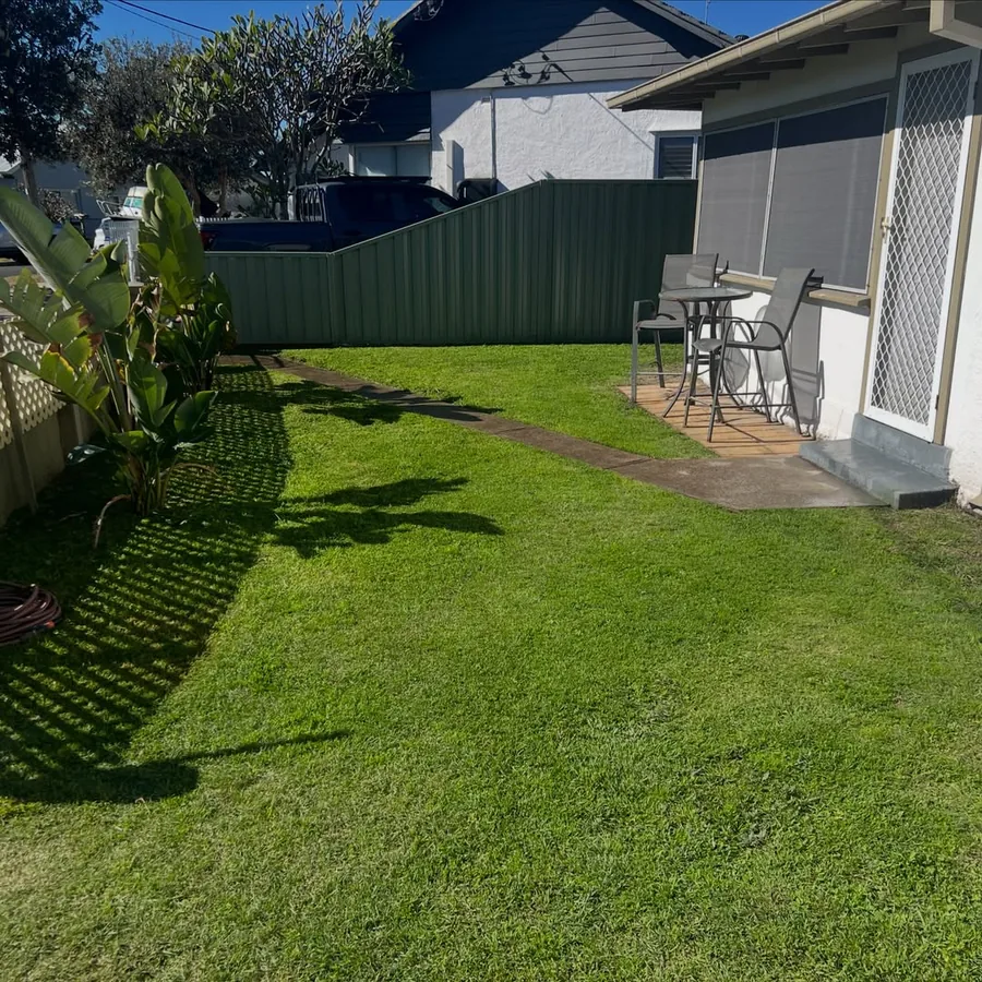 Backyard lawn after mowing and edging