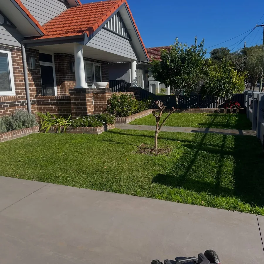 The same front yard before, long and untidy