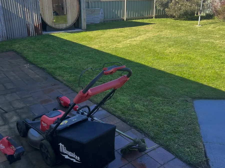 Freshly mown lawn with crisp edges along the path